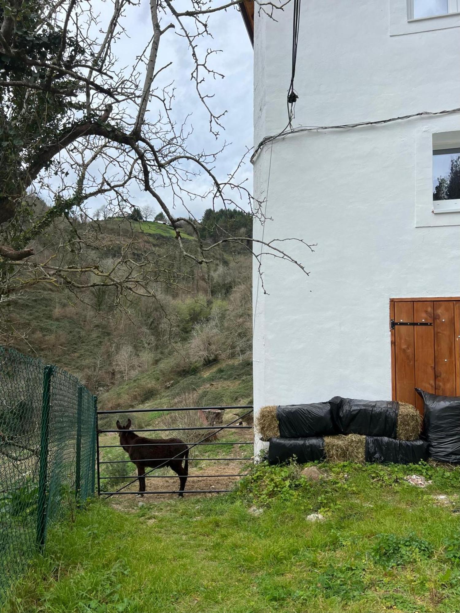 Fantastico Retiro Rural En El Corazon De Euskadi Apartamento Elgoibar Exterior foto